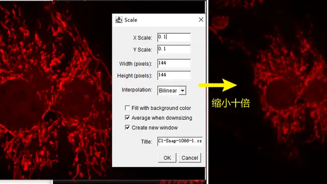 图像标尺