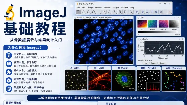 ImageJ基础教程