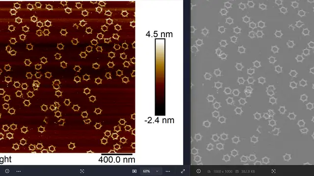 基于nanoscope模块快速提取AFM高度图像
