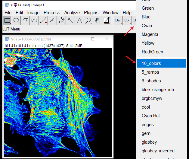 Pasted-image-20240621082030.png-fe43dbe25f.png