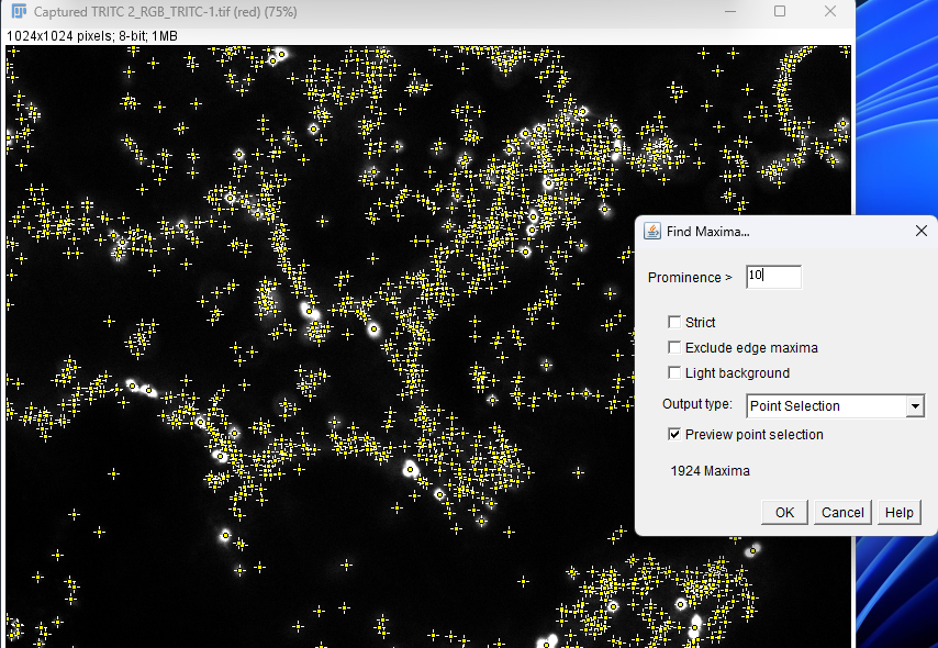 Pasted-image-20240807095908.png-a17fc2947b.png