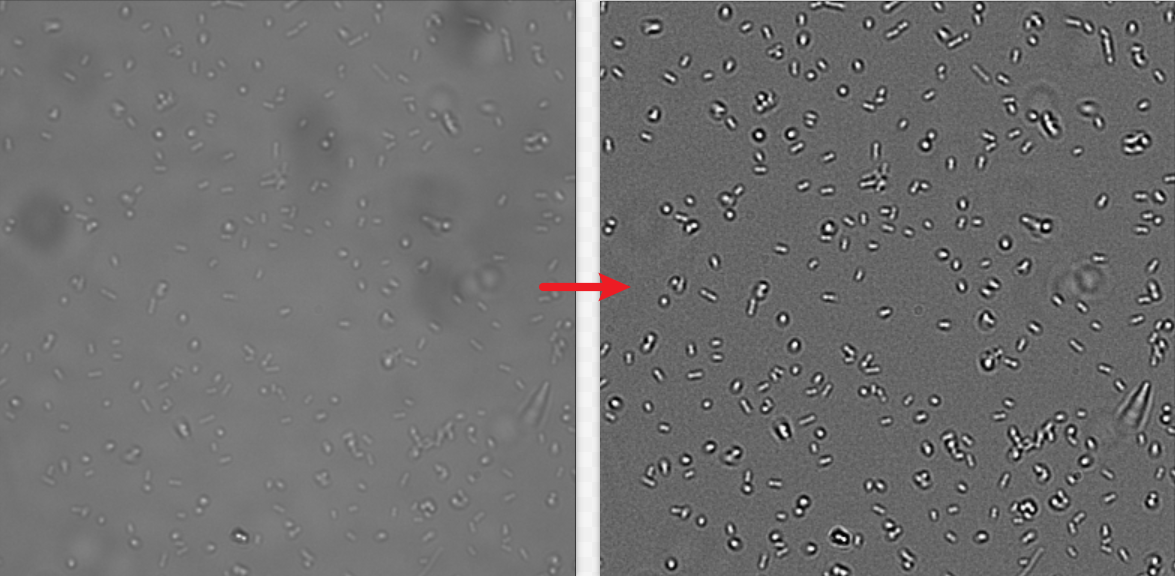 Pasted-image-20240808090738.png-4e19f17629.png