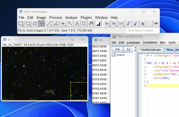 imagej_batchROImeasure.gif-ac97ad730a.gif