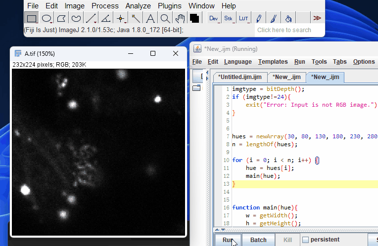 imagej_hsb_change_color.gif-ddd19b45c4.gif