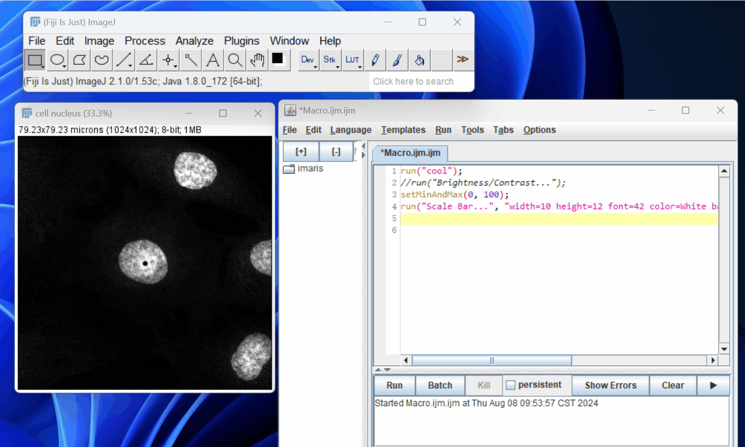 imagej_macro_001.gif-319e889aeb.gif