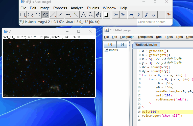 imagej_makeRectROI.gif-f775bc463a.gif