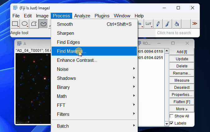 imagej_roi_find_maxima-1.gif-1765d2bc3d.gif