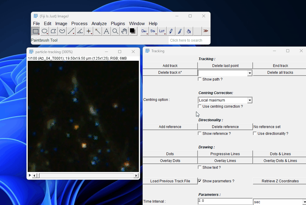 particle_tracking.gif-568492960b.gif