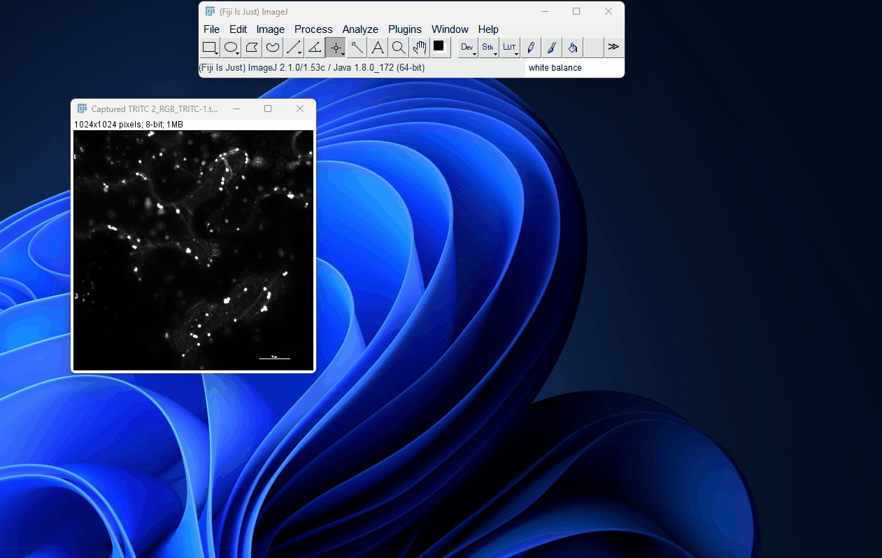 spot_measure_manu.gif-ec8c91f880.gif