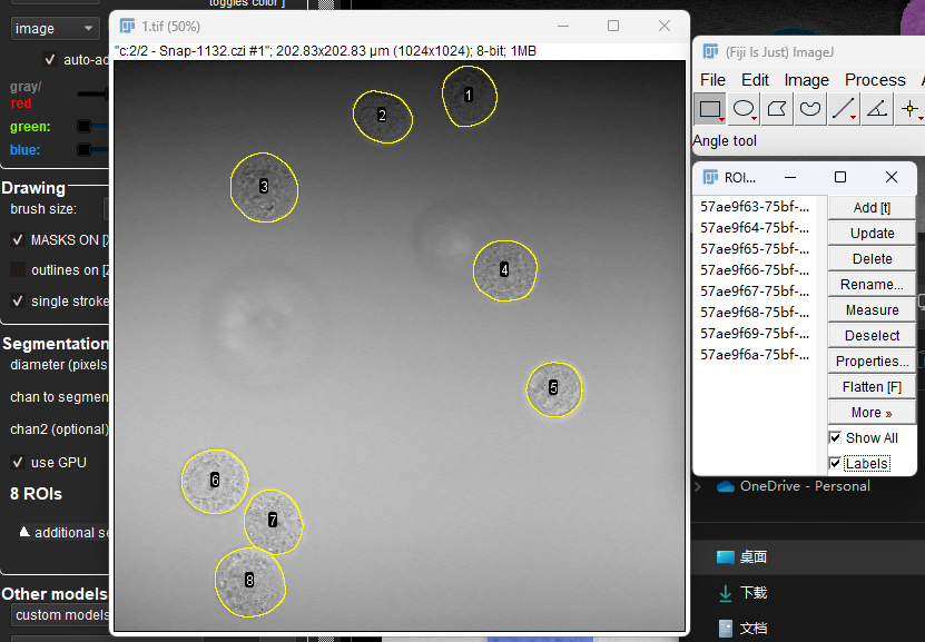 Pasted-image-20240918211331.png-a7e731dd44.png