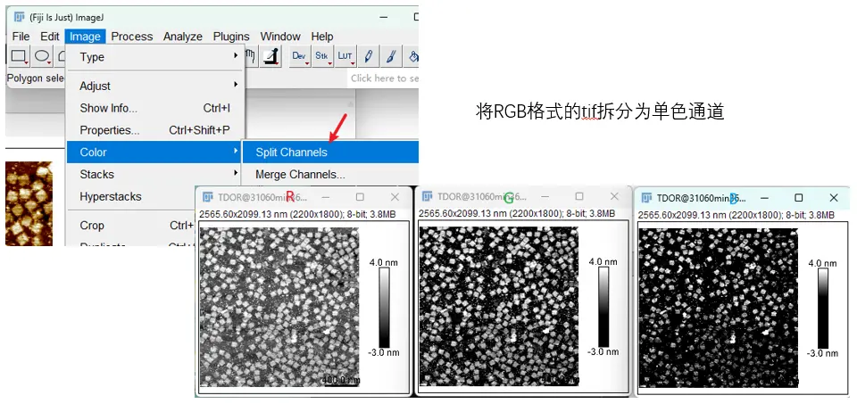 AFM导出的tif图像通过ImageJ转换为PNG灰度图-1784722999996.webp