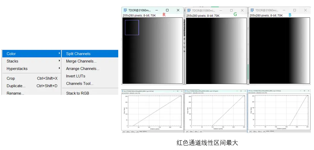 AFM导出的tif图像通过ImageJ转换为PNG灰度图-1784723052816.webp